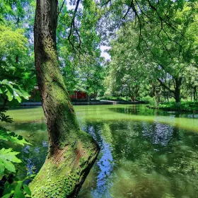 Taoyuan Scenic Resort of Jinhua
