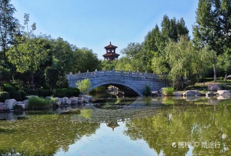 Tianyi Park