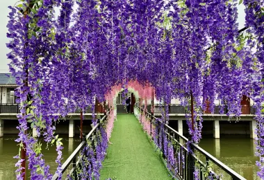 Lavender Garden, Mount Huaguoshan 명소 인기 사진
