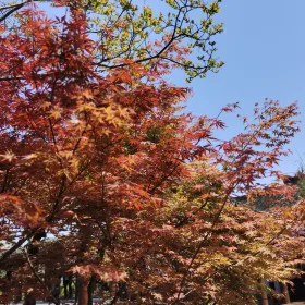 寧波植物園