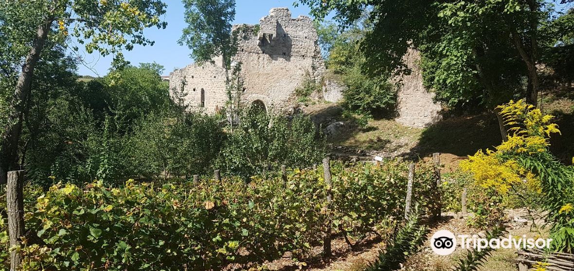 SaltenDonzy Travel Guide 2023 Things to Do, What To Eat & Tips