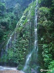 마오윈산 국립삼림공원
