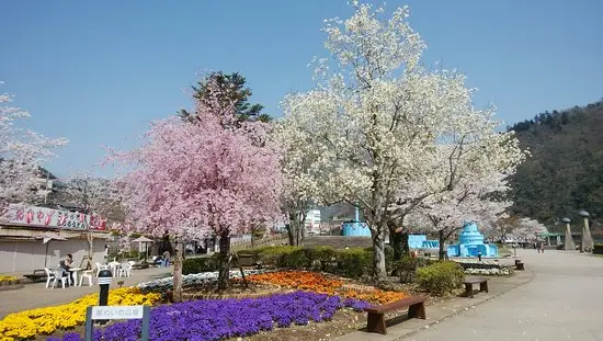 22相模原市自由行 相模原市旅遊攻略 熱門推薦相模原市景點門票 飯店與必吃美食 Trip Com