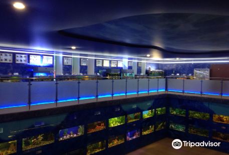 Aquarium Exhibit Hall