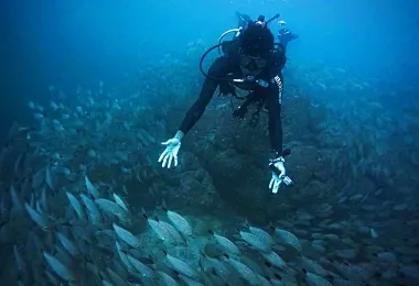 Rich Coast Diving รูปภาพAttractionsยอดนิยม