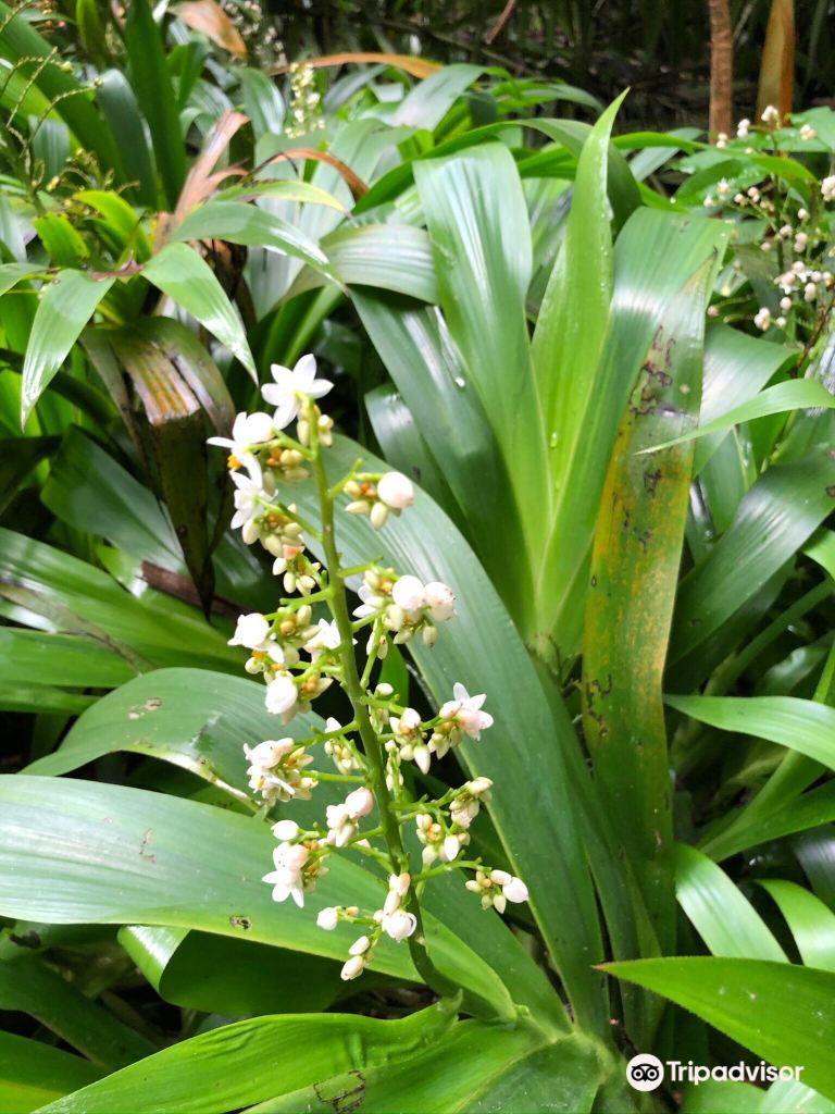 Malaysian Houses of Parliament travel guidebook -must visit