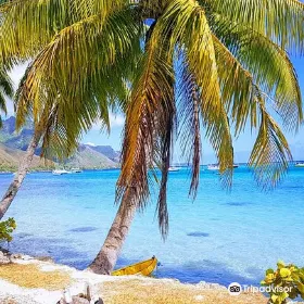 Ta'ahiamanu Beach