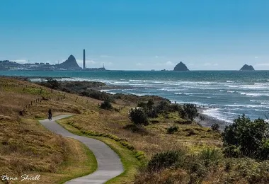 Te Rewa Rewa Bridge รูปภาพAttractionsยอดนิยม