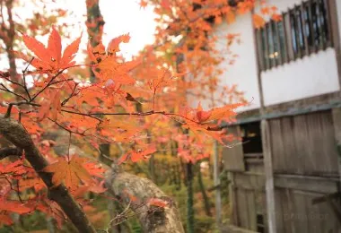 小涌谷蓬莱園 観光スポットの人気写真