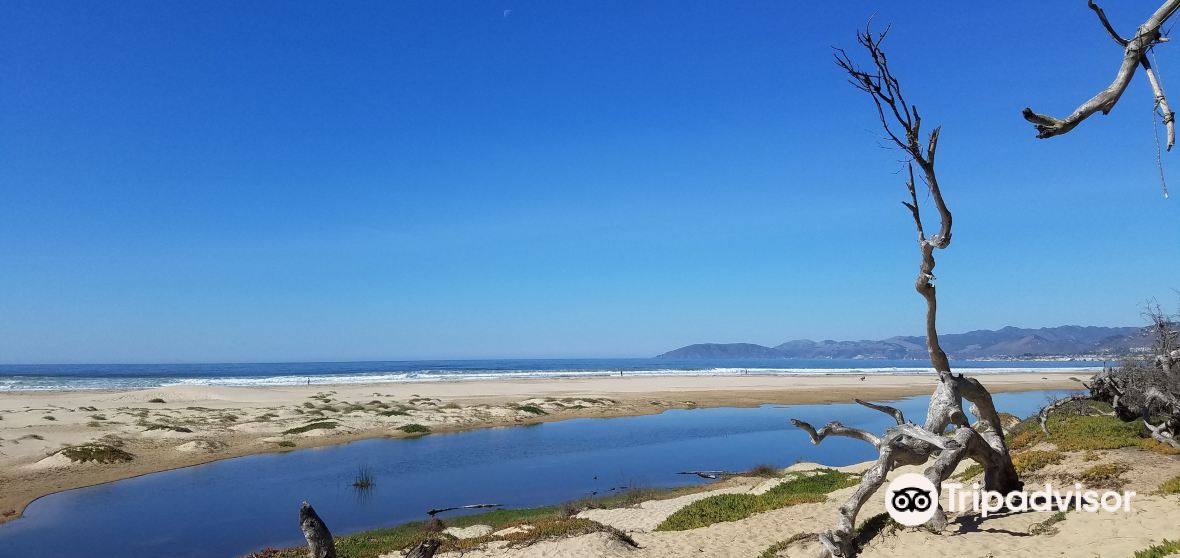Pismo Beach Travel Guide 2023 Things to Do, What To Eat & Tips