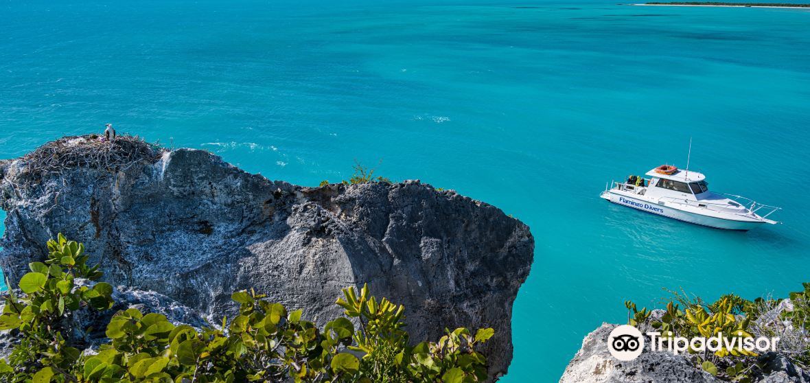 Road Settlement Travel Guide 2023 Things to Do, What To Eat