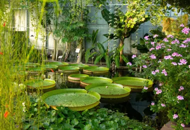 Botanischer Garten des KIT รูปภาพAttractionsยอดนิยม