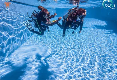 巴厘島亞特蘭蒂斯潛水中心 熱門景點照片