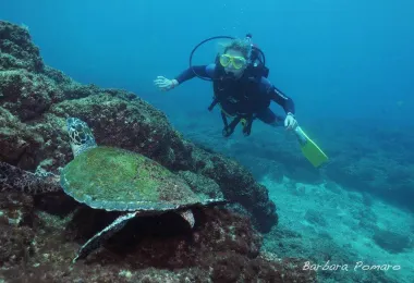 Rich Coast Diving รูปภาพAttractionsยอดนิยม
