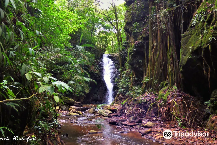 Catarata Los Murcielagos - Monteverde Waterfall1