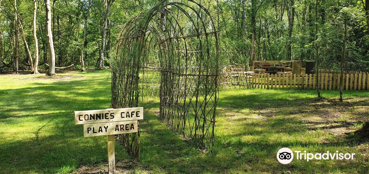 North Willingham Travel Guide 2023 Things to Do, What To Eat & Tips