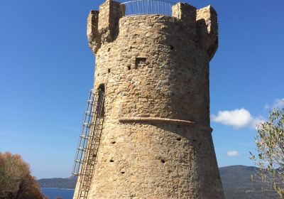 Tour Génoise De Capanella