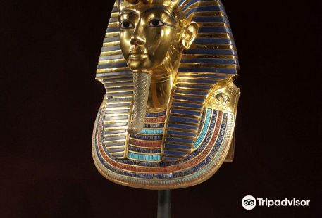 Tutankhamun - His Tomb and His Treasures