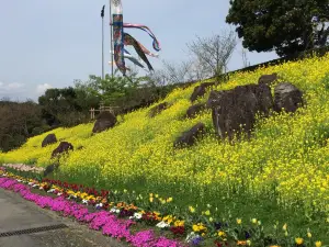 Fukuchi Sanroku Hana Park