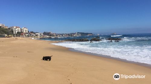 Algarrobo Attractions - Photo Gallery