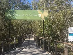 David Fleay Wildlife Park