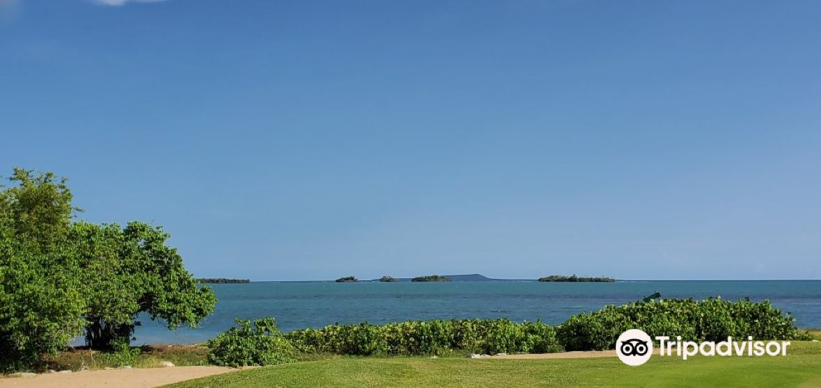 Bucana Travel Guide 2023 Things to Do, What To Eat & Tips