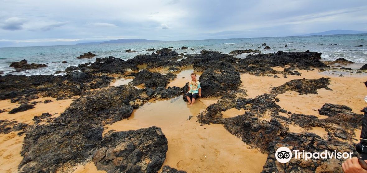 HaikuPauwela 2022 Top Things to Do HaikuPauwela Travel Guides Top