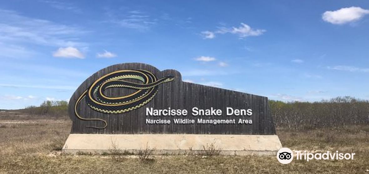 10 Best Things to do in Gimli, Manitoba Gimli travel guides 2021