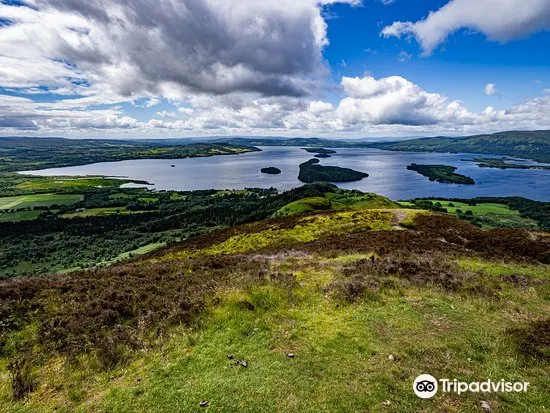 Loch Lomondのレビュー Loch Lomondのチケット Loch Lomondの割引 Loch Lomondの交通機関 所在地 営業時間 Loch Lomond周辺の観光スポット ホテル グルメ Trip Com