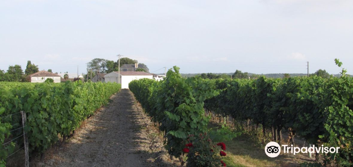 Boutenac Touvent 2023 인기 명소 Boutenac Touvent 트립 가이드 Boutenac