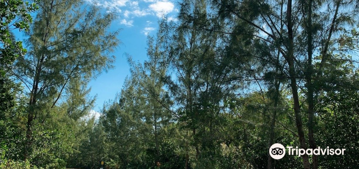 Pinecrest 2023 Top Things to Do Pinecrest Travel Guides Top