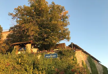 Turmberg รูปภาพAttractionsยอดนิยม