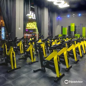 Rock The Cycle