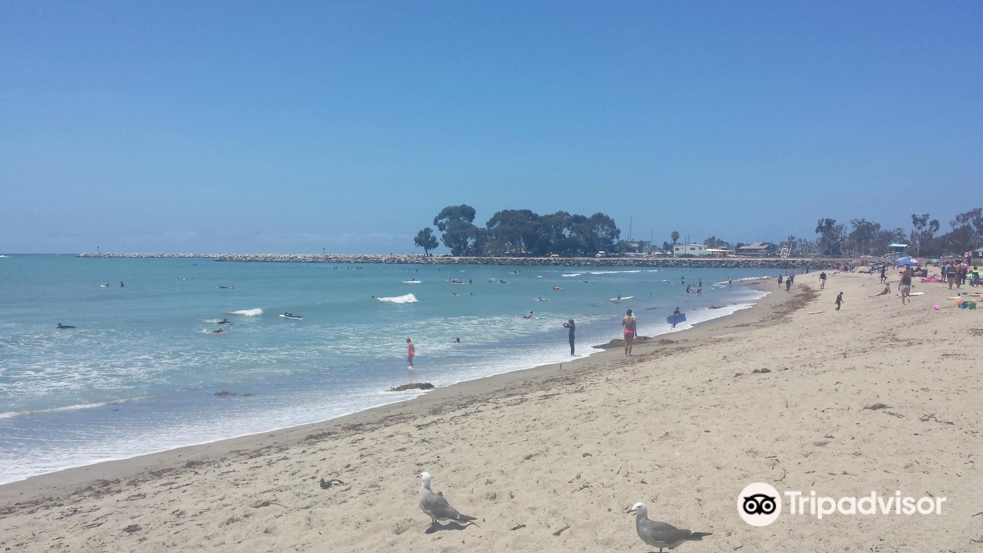 is doheny beach dog friendly