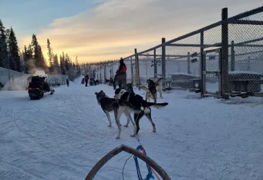 Wild Motion Siberian Huskies รูปภาพAttractionsยอดนิยม