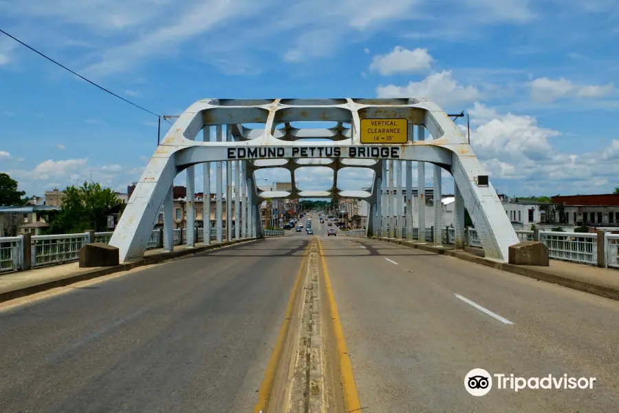 Latest travel itineraries for Selma Interpretive Center of Selma to ...