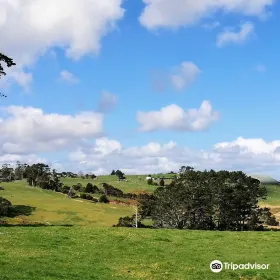Totara Park