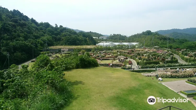 泉南市農業公園 花咲きファーム のレビュー 泉南市農業公園 花咲きファーム のチケット 泉南市農業公園 花咲きファーム の割引 泉南市 農業公園 花咲きファーム の交通機関 所在地 営業時間 泉南市農業公園 花咲きファーム 周辺の観光スポット ホテル