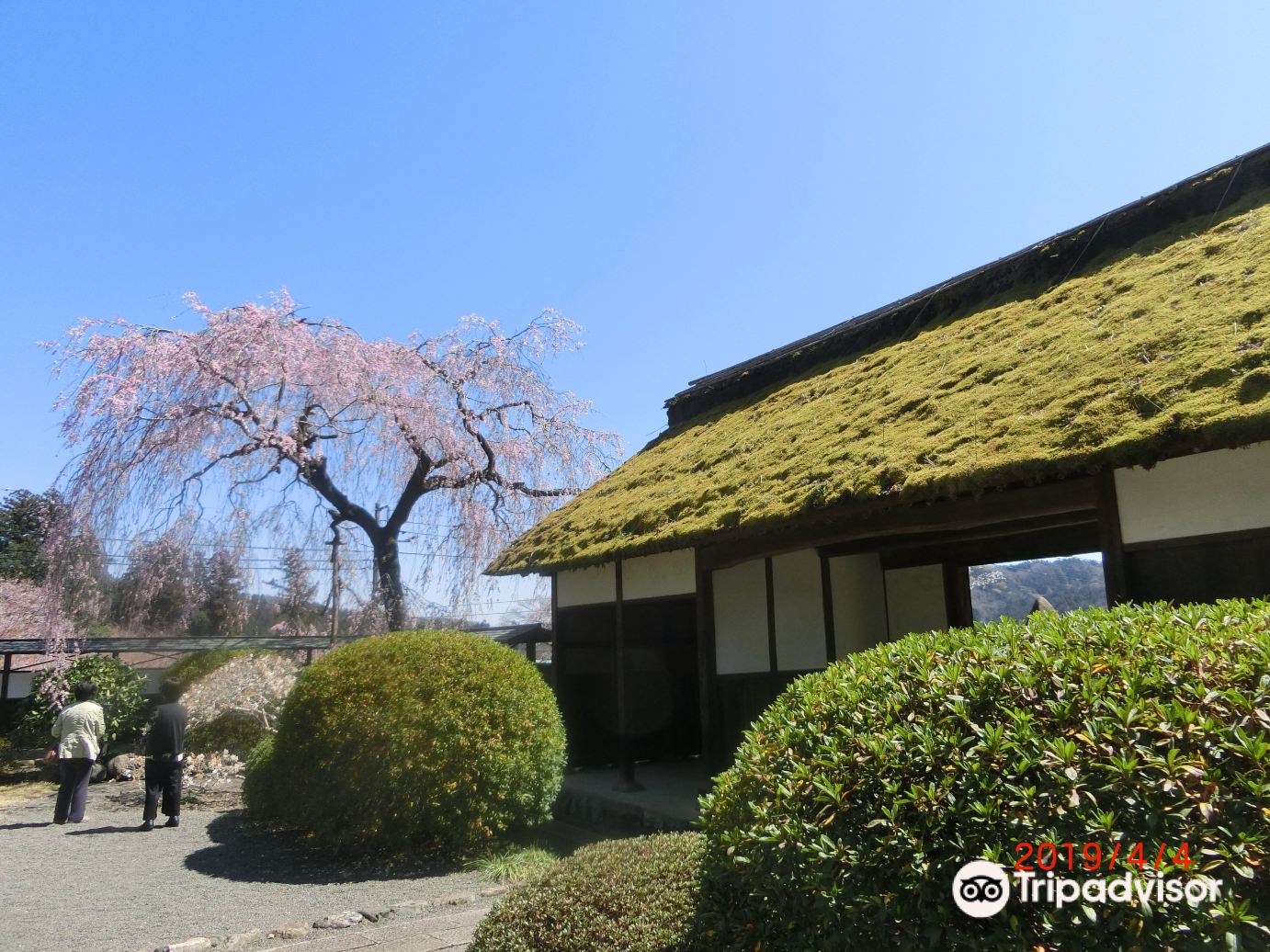青梅市花木園景點評價 青梅市花木園門票 青梅市花木園優惠 青梅市花木園交通 地址 開放時間 青梅市花木園附近景點 酒店及美食 Trip Com