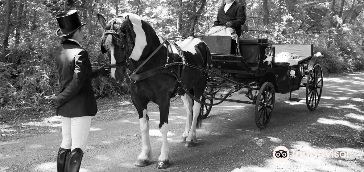 กิจกรรมน่าทำยอดนิยมในEarl Sohamประจำปี 2022 คู่มือท่องเที่ยวEarl