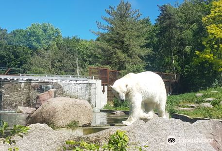 Parc Zoologique & Botanique de Mulhouse