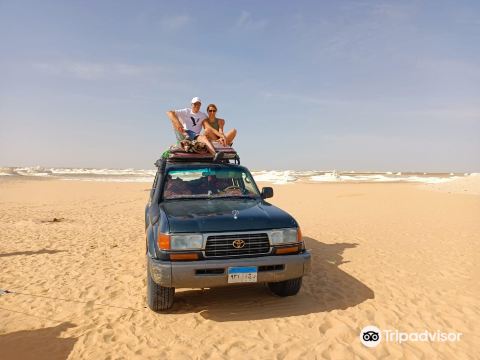 Safari Tourのレビュー Safari Tourのチケット Safari Tourの割引 Safari Tourの交通機関 所在地 営業時間 Safari Tour周辺の観光スポット ホテル グルメ Trip Com