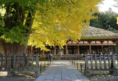Shingu Kumano Shrine รูปภาพAttractionsยอดนิยม