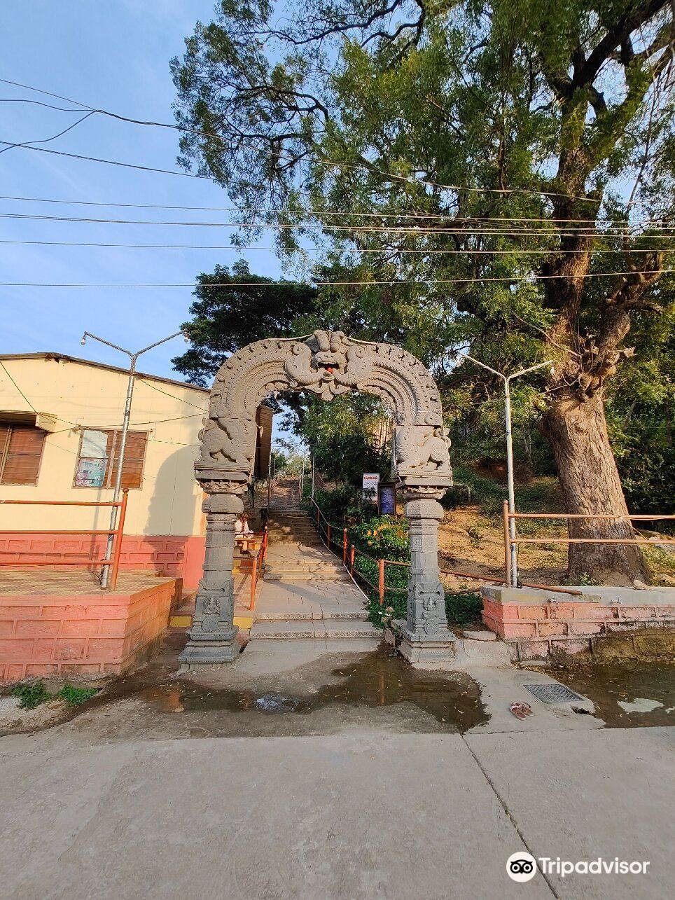 Pocharam Wildlife Sanctuary attraction reviews - Pocharam Wildlife Sanctuary tickets - Pocharam Wildlife Sanctuary discounts - Pocharam Wildlife Sanctuary transportation, address, opening hours - attractions, hotels, and food near Pocharam Wildlife ... Pocharam Wildlife Sanctuary attraction reviews - Pocharam Wildlife Sanctuary tickets - Pocharam Wildlife Sanctuary discounts - Pocharam Wildlife Sanctuary transportation, address, opening hours - attractions, hotels, and food near Pocharam Wildlife ...