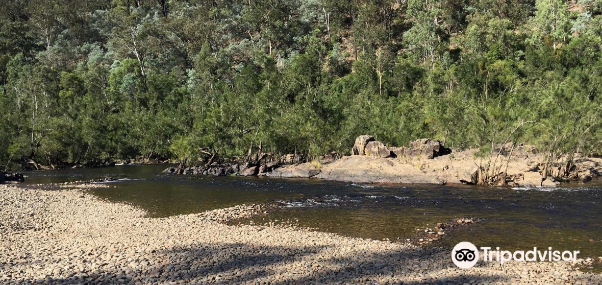 Nowra Travel Guide 2023 Things to Do, What To Eat & Tips