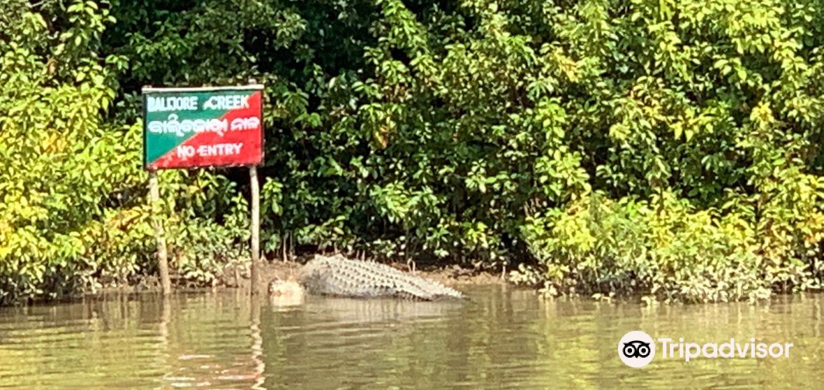 กิจกรรมน่าทำยอดนิยมในKendraparaประจำปี 2022 คู่มือท่องเที่ยว