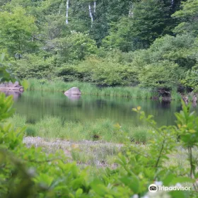 水無池