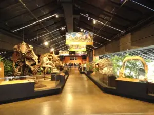Houston Museum of Natural Science at Sugar Land