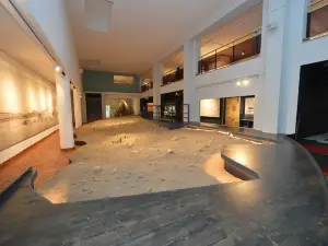 Musee de Paleonthologie Terra Amata