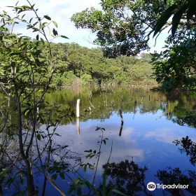 Laguna Charco Verde